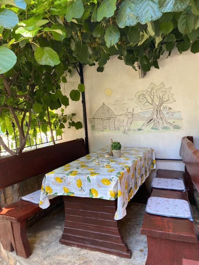 Studio Apartment Elsa Galižana Εξωτερικό φωτογραφία